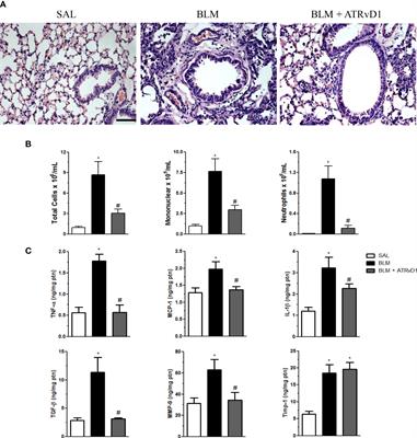 Pleiotropic antifibrotic actions of aspirin-triggered resolvin D1 in the lungs